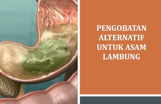 Pengobatan Alternatif untuk Asam Lambung