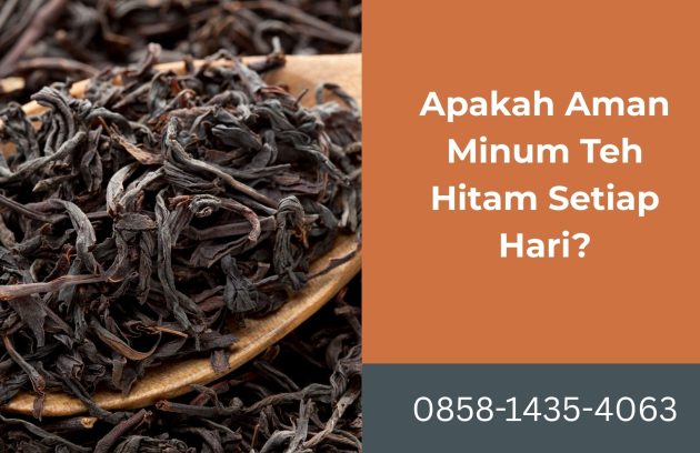 Apakah Aman Minum Teh Hitam Setiap Hari